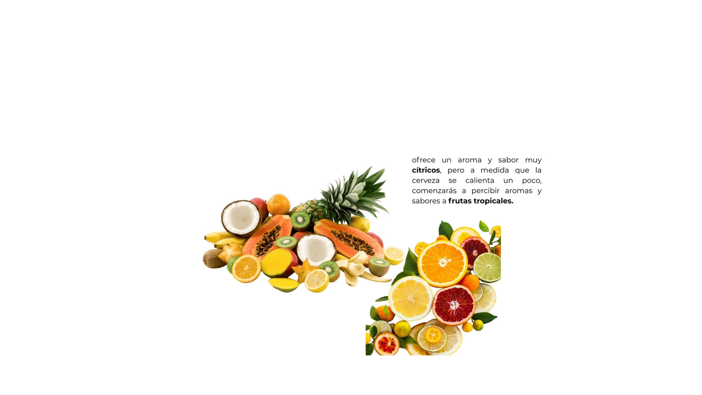 NEIPA/ PACK DE 6